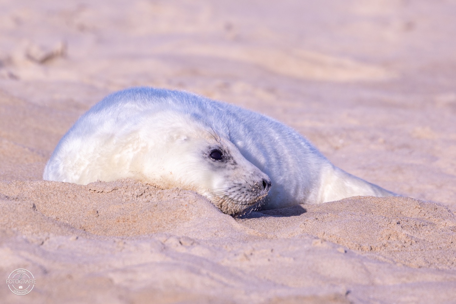 08 januari 2023 134853 1R2A0560